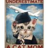 Never Underestimate A Cat Mom Who Is Also A Flight Attendant Poster