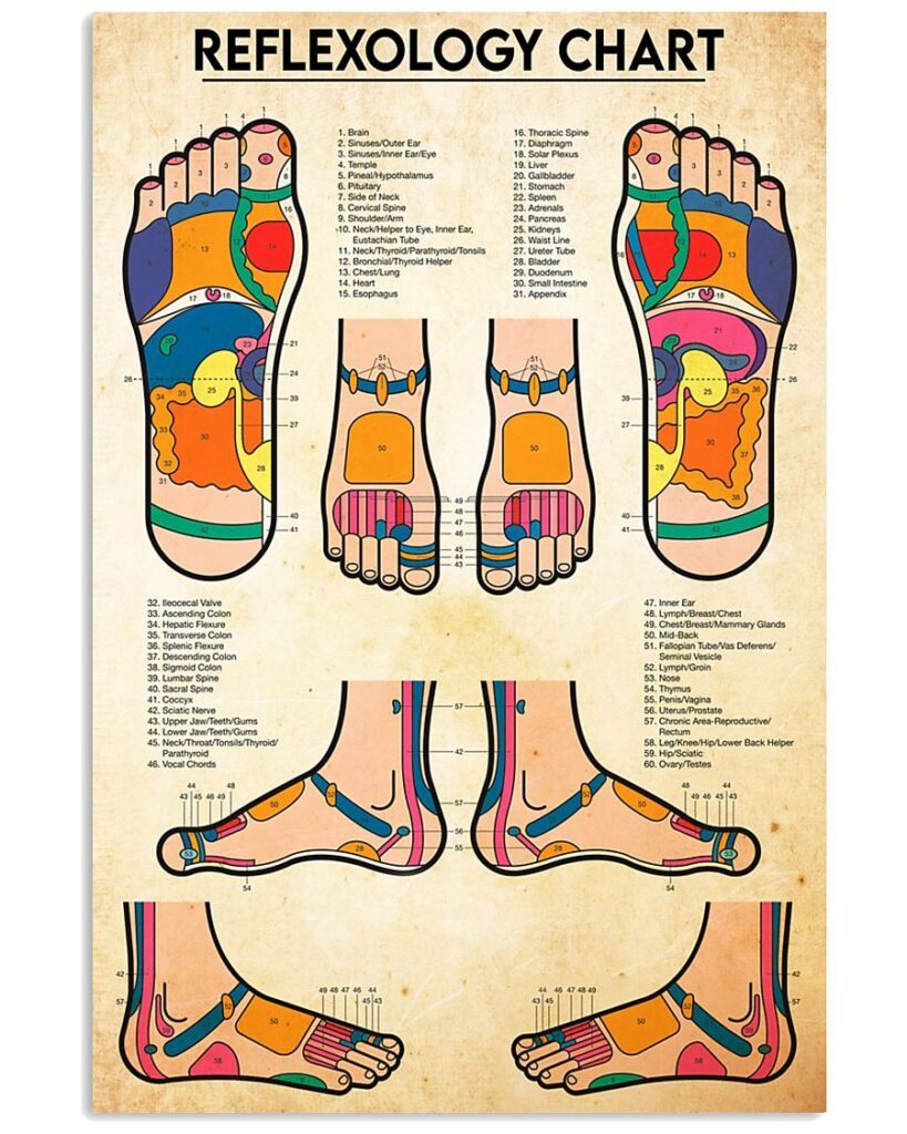 Reflexology Chart | Teetiv.com