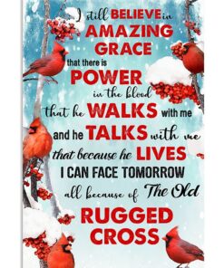 Cardinal Bird I Still Believe In Amazing Grace Poster