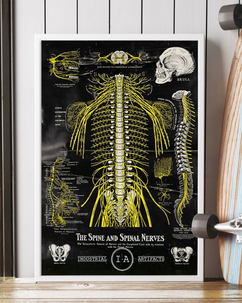 Chiropractic Vintage Spinal Nerve | Teetiv.com