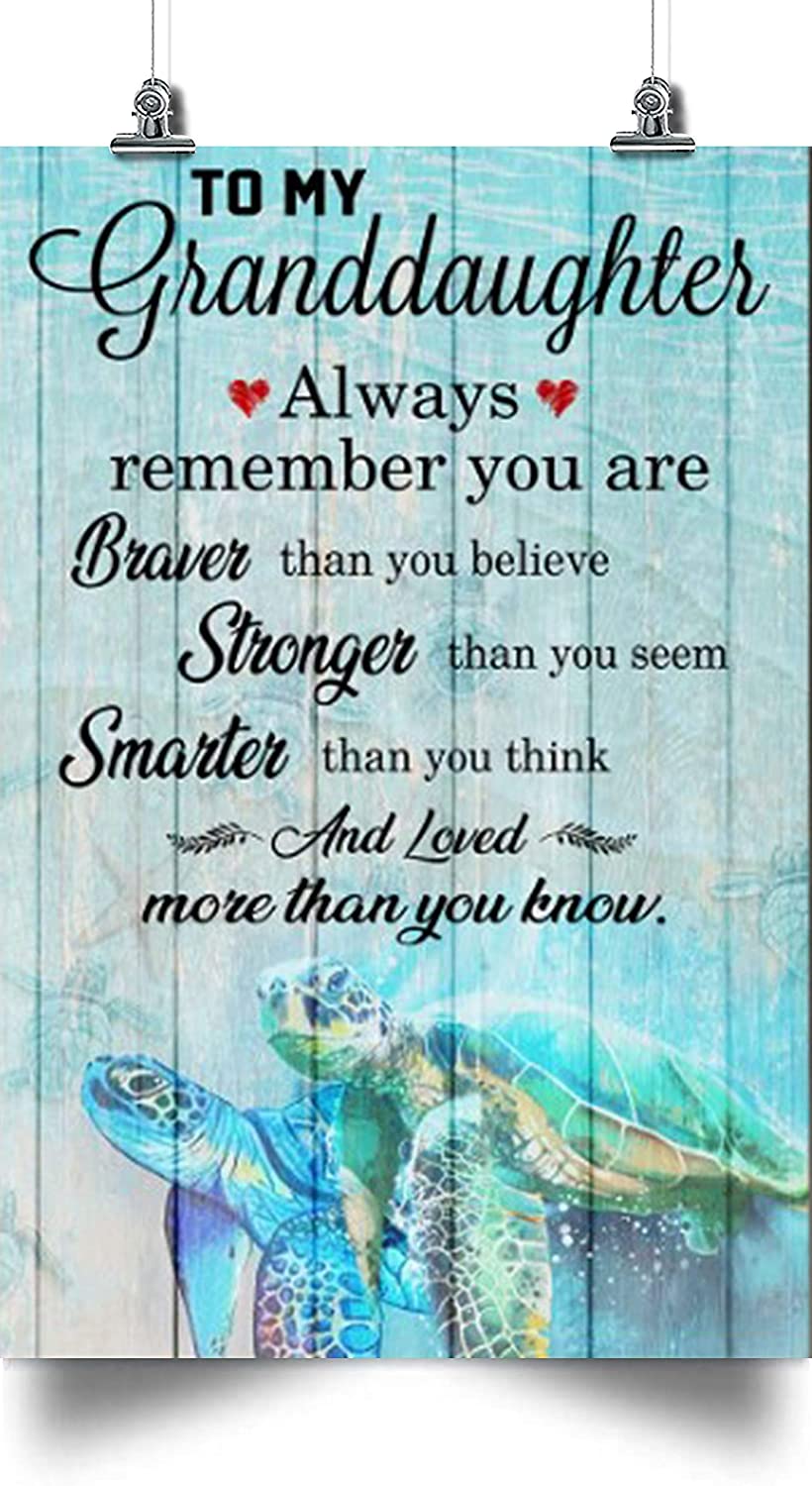 Turtle To My Granddaughter You Are Braver Holidays Granddaughter ...