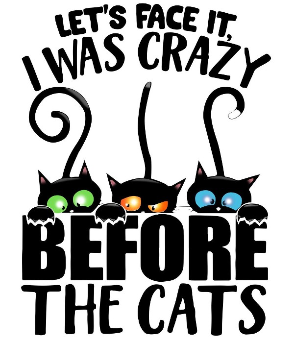 I Was Crazy Before The Cats T-Shirt