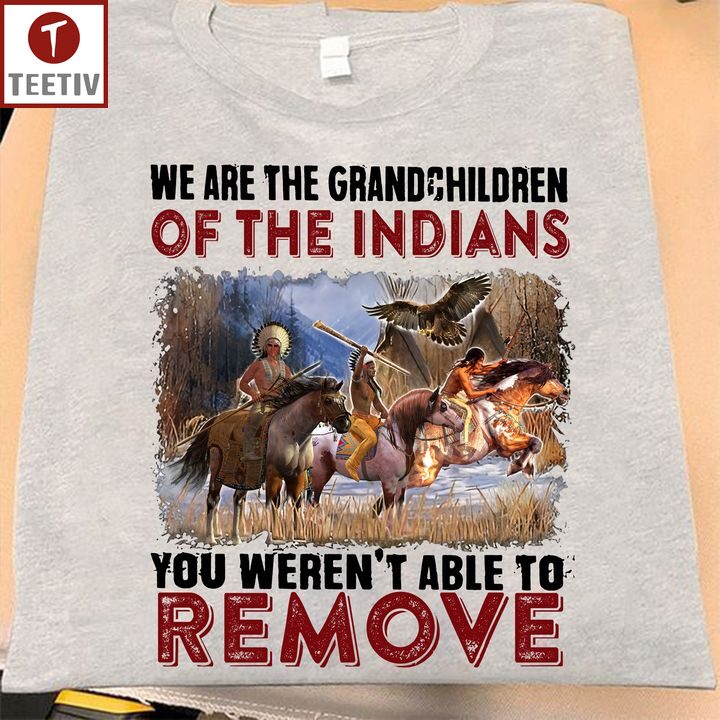 We Are The Grandchildren Of The Indians You Weren't Able To Remove Native American Unisex T-shirt